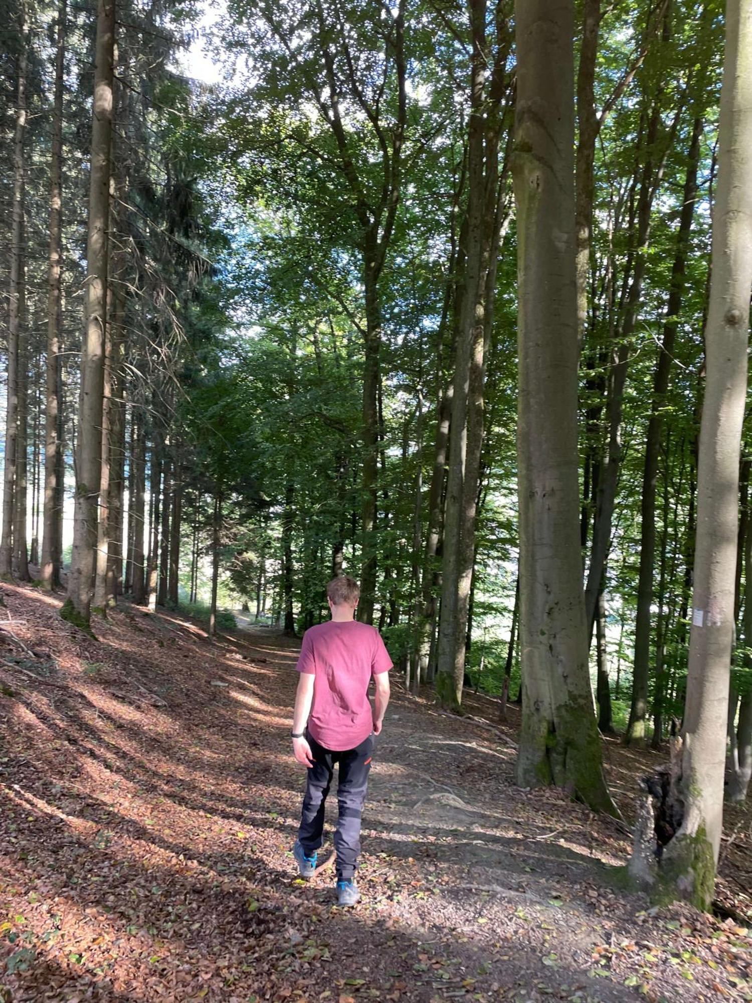 Landgasthof Reinert Reiste Esterno foto